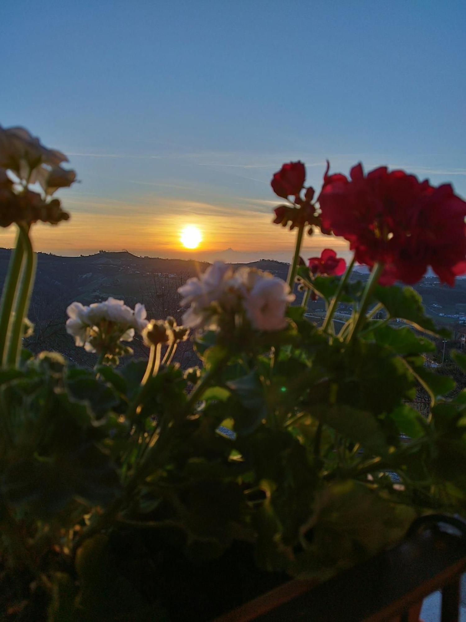 Casa Rubbo - Appartamento In Collina 'Monviso' Alba  Dış mekan fotoğraf