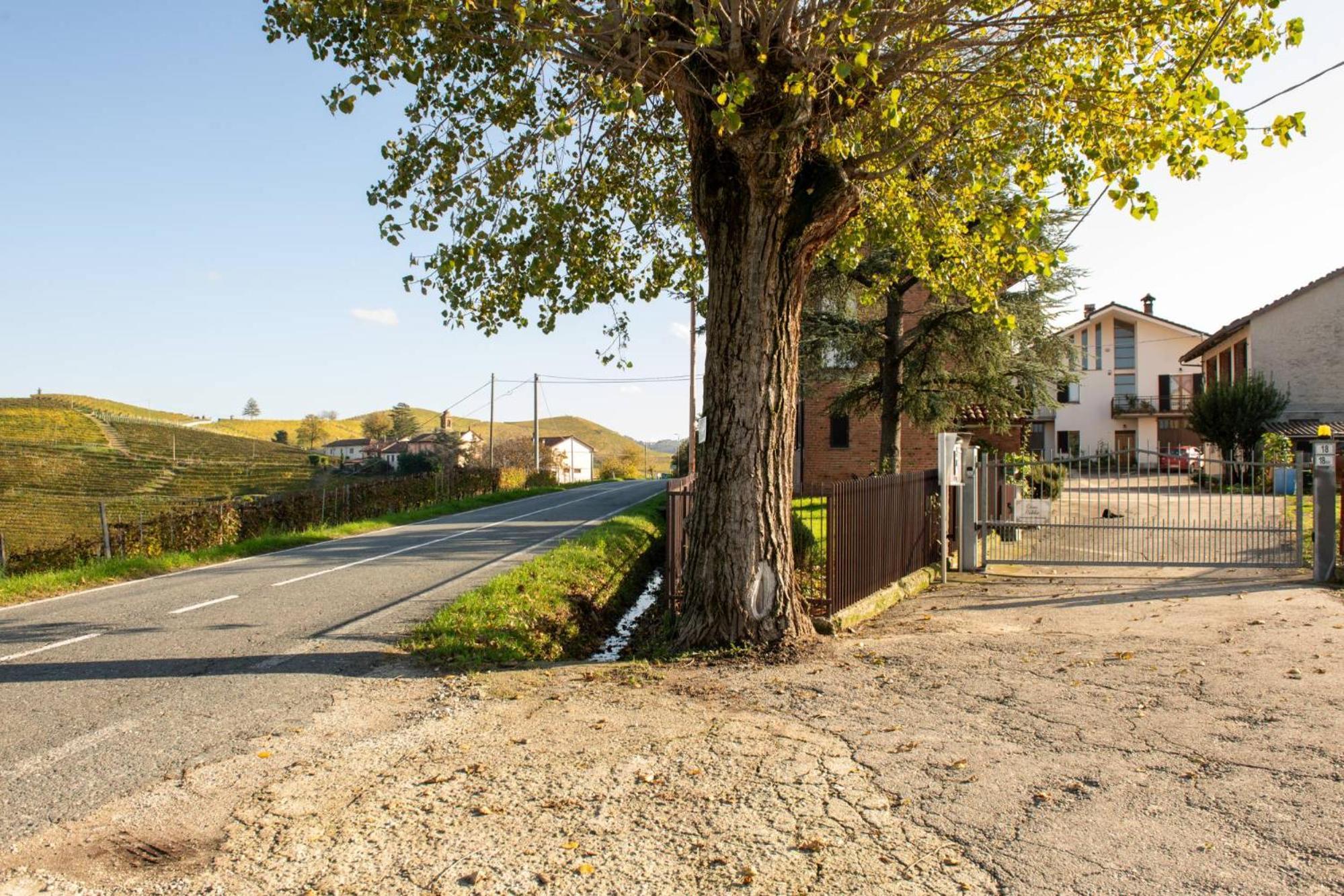 Casa Rubbo - Appartamento In Collina 'Monviso' Alba  Dış mekan fotoğraf